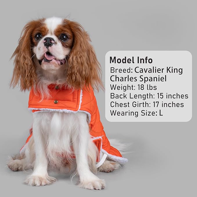 KYEESE Dog Coat Warm Pet Winter Puffer Coat with Leash Hole Waterproof Dogs Jacket with Fleece Lined Windproof Dog Coats for Small Dogs Thick Cat Clothes with Pocket Soft Pet Sweater for Cold Weather