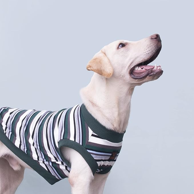 Extra Large Dog T Shirts Clothes Sleeveless Tank Top Vest for Labrador Rottweiler Great Dane, Green, 6X-Large