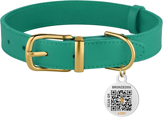 BRONZEDOG Leather Dog Collar with Metal Buckle Durable Basic Pet Collars for Small Medium Large Dogs (14-17 Inch (Pack of 1), Green & Gold Buckle)