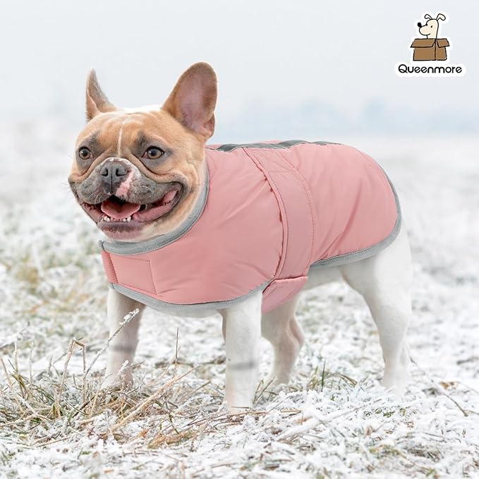Queenmore winter dog coat - Fleece puffer down vest, waterproof reflective reversible sweater with sizes (light pink, M)