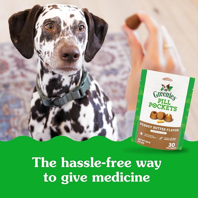 Greenies Pill Pockets for Dogs Large Size, Soft Dog Treats, Real Peanut Butter Flavor, (6) 7.9 oz. Pouches (180 Treats Total)