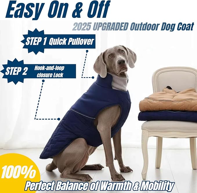 Upgraded Classic Quilted Active Fit Dog Winter Coat, Waterproof & Lightweight Coats for Medium Dogs, Easy On & Off Pet Jacket Adjustable, 2-Layer Warmth Thick Fabric Pet Clothes for Bulldog(Blue, M)