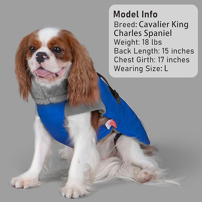 KYEESE Waterproof Dog Coat, Warm Windproof Jacket, Turtleneck Winter Dog Coats for Small Dogs with Leash Hole, Reflective Pet Clothes & Outdoor Apparel, Thick Fleece-Lined Winter Jacket, Blue, Large
