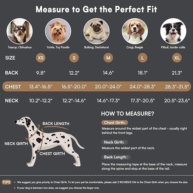 Queenmore Dog Winter Coat Warm Puffer Jacket Waterproof Plush Lining Thermal Cold Weather Vest for Small Medium Large Dogs, Windproof Easy On Pet Jacket Black XS