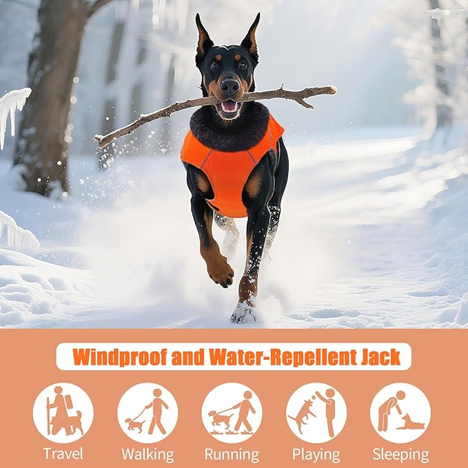 DENTRUN Dog Winter Coat - Windproof Reflective Jacket, Plush Turtleneck & Adjustable Belt, Water Repellent Fleece Lined Cold Weather Vest for Corgi Bulldog, Orange, L