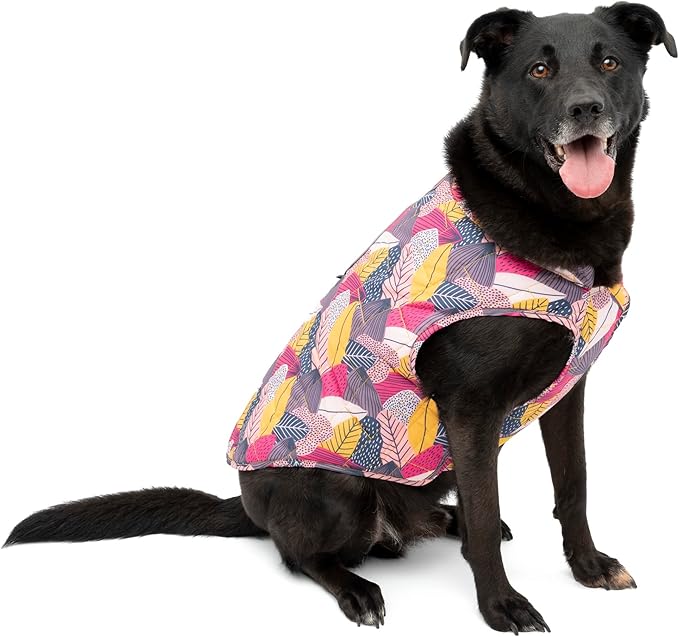 Kurgo Loft Dog Jacket - Reversible Cozy Coat for Outdoor Adventures - Water Resistant - Athletic Fit - Machine Washable Fabric - Reflective Dog Gear - Medium - Fall Festival