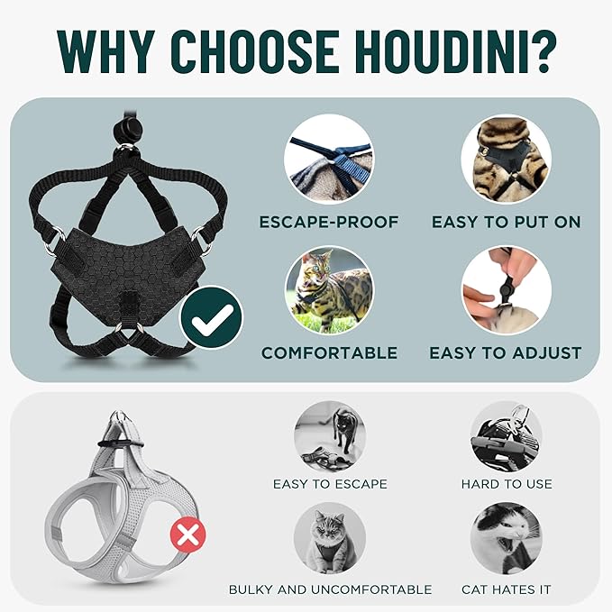 Houdini™ Escape Proof Kitten Harness and Leash Set by OutdoorBengal – Turquoise, Small Cat Harness for Walking