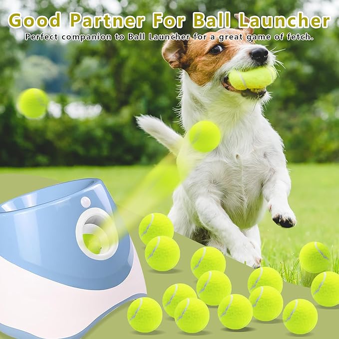 Magicorange Small Tennis Balls, 60 Pack 2 inch Tennis Balls for Dogs, Colorful Easy Catching Pet Dog Playing Ball (Yellow)