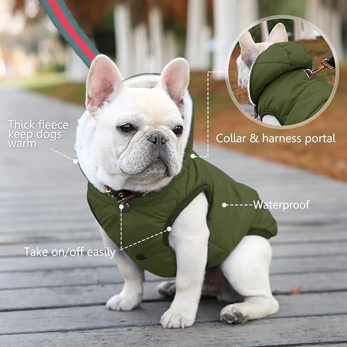 Fleece Hoodie, Windproof Waterproof Coat, Winter Warm Jacket, Cold Weather Pet Apparel Clothes Vest for Small Medium Large Dogs (XS, Green)
