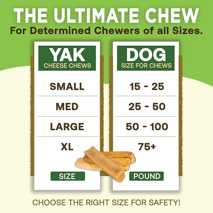 EcoKind Himalayan Gold Yak Cheese Dog Chew for Small Dogs, Healthy Treats, Odorless, Long Lasting Dog Bones for Dogs, Rawhide Free, Made in The Himalayans, Small (Pack of 4)
