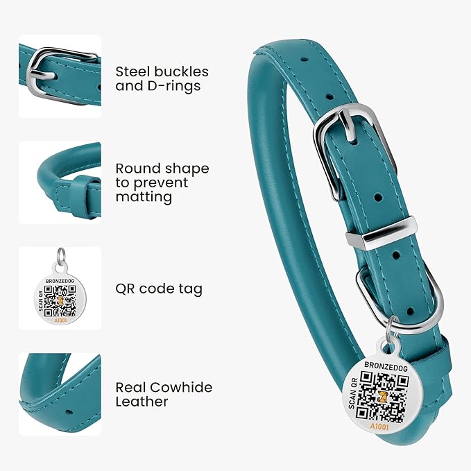 BRONZEDOG Rolled Leather Dog Collar for Small Medium Large Dogs with QR ID Tag (XS: 9-11 Inch, Teal)
