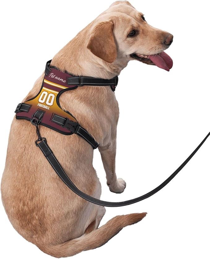 Custom Dog Harness with Reflective Stripes Personalized Name and Number Dog Vest Harness with Pet Traction Rope for Small Medium Large Dog