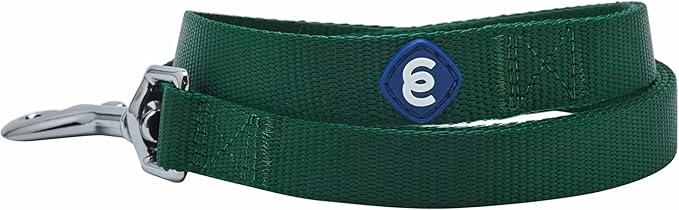 Blueberry Pet Essentials | Verdant Green Nylon Leash, 5ft x 3/4" | Lightweight & Durable for Training| Standard Dog Leashes & Lightweight Dog Leash for Training