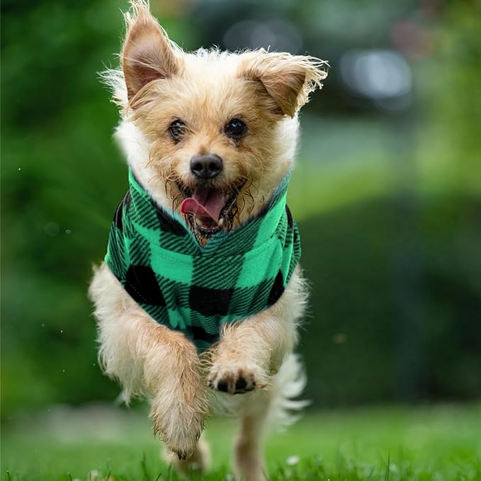 KAMA BRIDAL 3 Pack Spring Autumn Winter Coat Pullover Fleece Vest for Cats Small and Medium Dogs - Thin Sweater Blue Green Black Plaid (M)