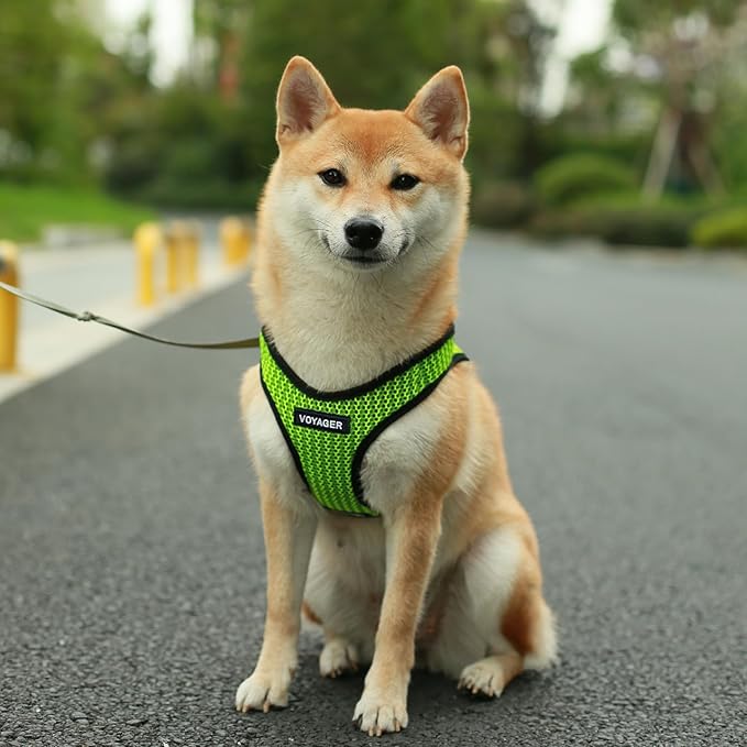 Best Pet Supplies Voyager Step-in Air Harness - All Weather Mesh, Reflective, No Pull Harness for Dogs, Cats - Secure with Hook & Loop Fastener, Buckle, Double D-Rings - Tone, XL