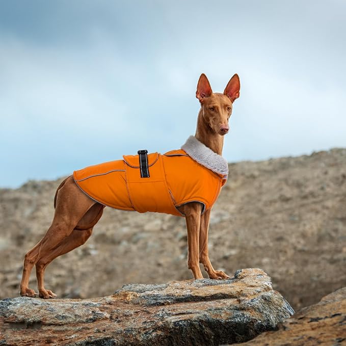 Lelepet Dog Coat Waterproof Dog Jacket Reflective Fleece Vest with Adjustable Buckle & Leash Hole Windproof Cold Weather Coats for Small Medium Large Dogs, Warm Hunting Vest, Orange, M