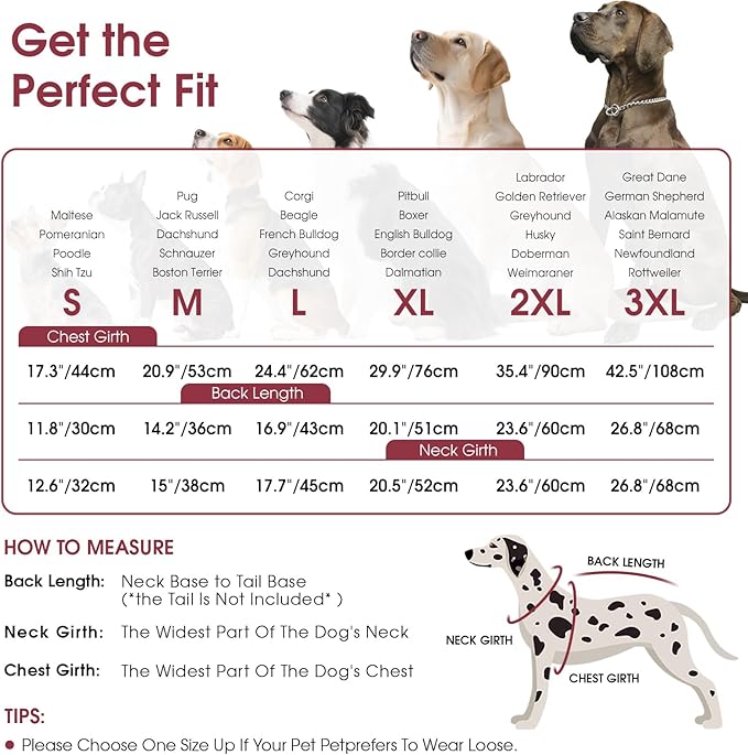 Queenmore Dog Jackets for Medium Dogs, Dog Coat with Harness Built in, Waterproof Pet Winter Coat with Zipper On Back Doggy Snowsuits Warm Soft Pet Jacket for French Bulldog, Poodle, Corgi, Burgundy M