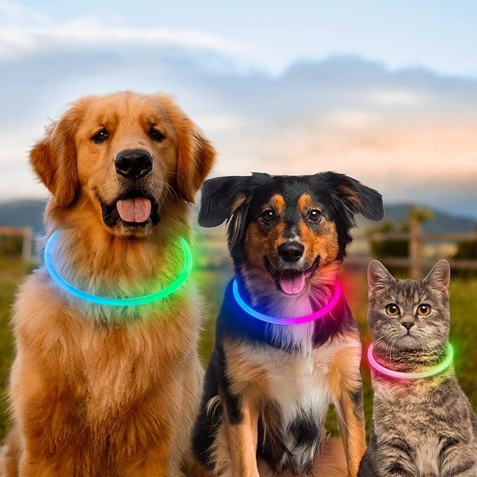 Light Up Dog Collars, USB Rechargeable Dlitk LED Dog Collar 1 Count, TPU Cuttable Size Glow Collar for Dogs, Dog Collar Light, Please Do Not Use Fast Charging (Blue+Pink)