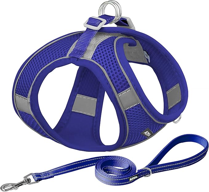 AIITLE Escape Proof Dog Harness - Step in Adjustable Dog Harness No Choke Over with Breathable Mesh and Quick-Release Buckle for Summer- Outdoor Walking, Camping for Medium Dogs Royal Blue XL