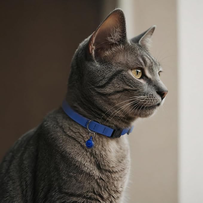 Breakaway Cat Collar Leather with Removable Bell - 13 Colors Available - Soft Adjustable Girl Boy Safety Lightweight Pet Kitten Collars Pink Brown Blue Green Red Orange Black (Red)