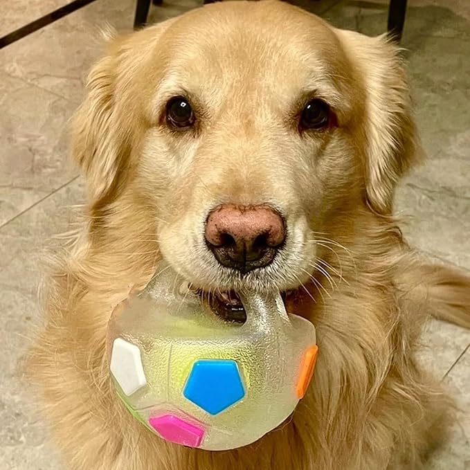Dog Calming Ball with Handle for Dogs, 2026 New Interactive Football Shape Dog Toy, TPR Chewable Material, Squeaky, Water Play, Training & Outdoor Games (White)