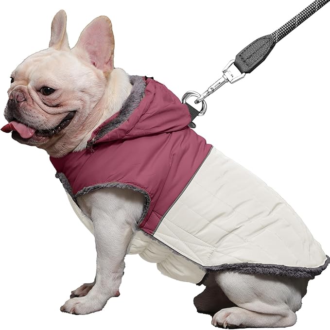 Detachable Hooded Dog Coat with Harness for Medium Dogs,Super Warm Fleece Puppy Jacket for Cold Winter Doggie Coats,Red XL