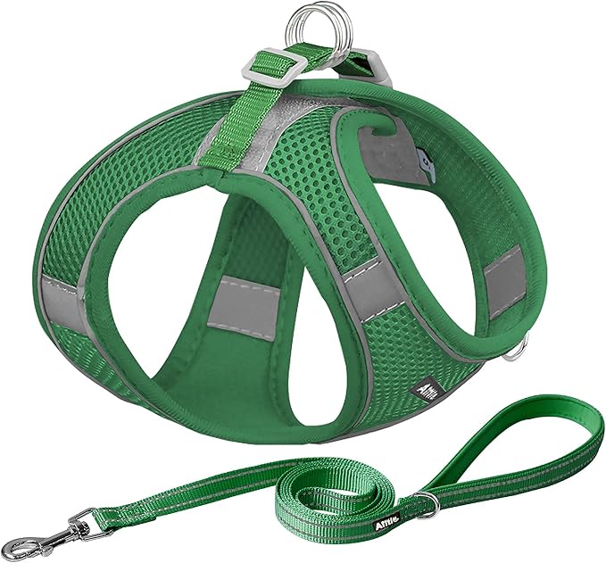 AIITLE Comfortable Dog Harness and Leash Set for Walking - Summer Step in Vest Harness,Reflective Bands, Adjustable No Pull Puppy Essentials, for Small Dogs and House Cats Green XS