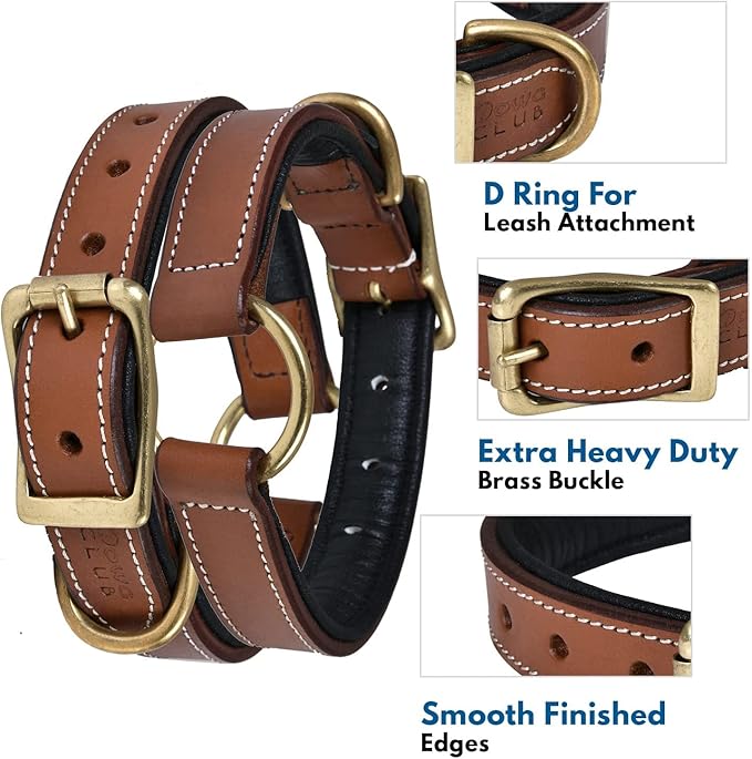 | Genuine Leather Adventure Dog Collar | Full Grain, Heavy Duty | with Inner Cushioned Padding | Best for Medium, Large & XL Dogs (X-Large (Fit Neck Size 22"-26"), Brown with Center O Ring)