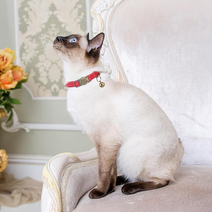 Cat Collar Breakaway, Personalized Leather Cat Collar with Bells - Adjustable Customized Collar with Name & Phone Number Tag for Girl Boy Cats - Quick Release Buckle for Cats & Kittens(Red)