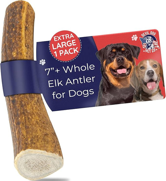 Devil Dog Pet Co. Elk Antlers for Dogs, Extra Large 7"+, 1 Pack, Grade A Long Lasting Chew for Aggressive Chewers, Premium USA Naturally Shed Antler – Healthy, No Odor, Durable Dog Chew