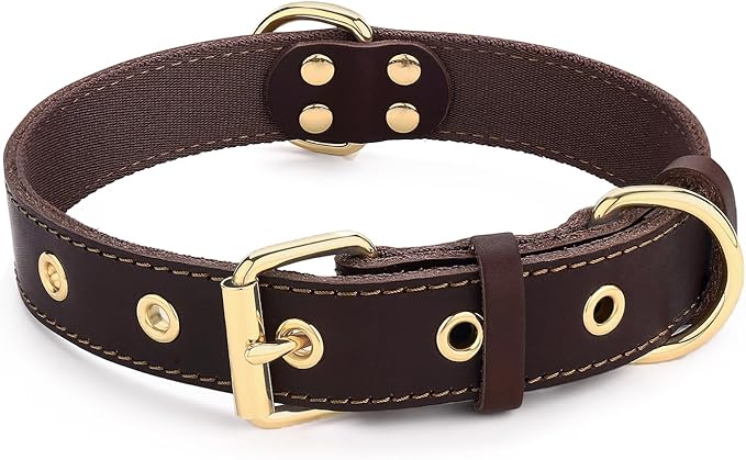 Leather Dog Collar, Dog Collar with Adjustable Sturdy Metal Buckle,Heavy Duty Dog Collar for Walking, Hiking, Training, Hunting (Brown,S:15.2"-19.2" Neck)