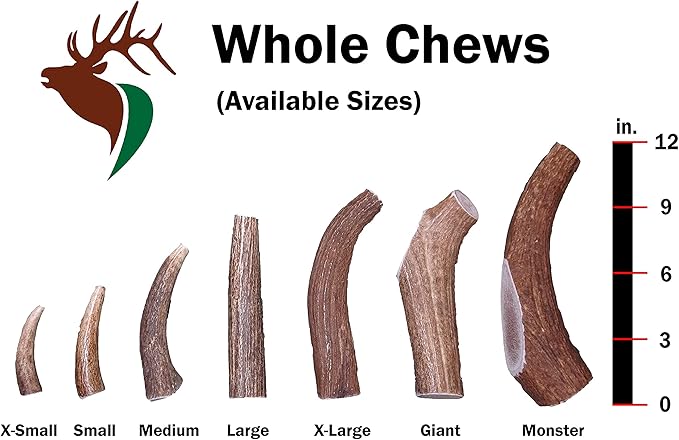 – X Large Whole Single Pack (for 50-90 lb Dogs) Premium Grade Elk Antler for Dogs (1 Piece) Sourced in The USA