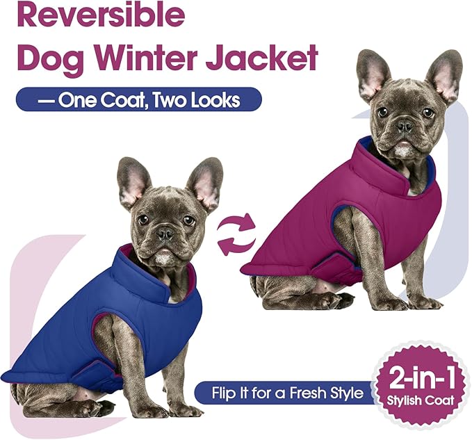 QBLEEV Reversible Dog Coat for Large Dogs, Waterproof Windproof Winter Jacket Keeps Big Breeds Warm & Dry, Adjustable Hook & Loop Puffer Vest, Purple, 3XL – Fits Labrador, Weimaraner, Great Dane