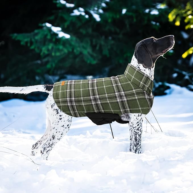 Kuoser Waterproof Dog Coat, Reversible Dog Jacket for Medium Dogs, Adjustable Durable Doggie Winter Coat Warm Puppy Cold Weather Apparel from Small to Large Breed, Green M