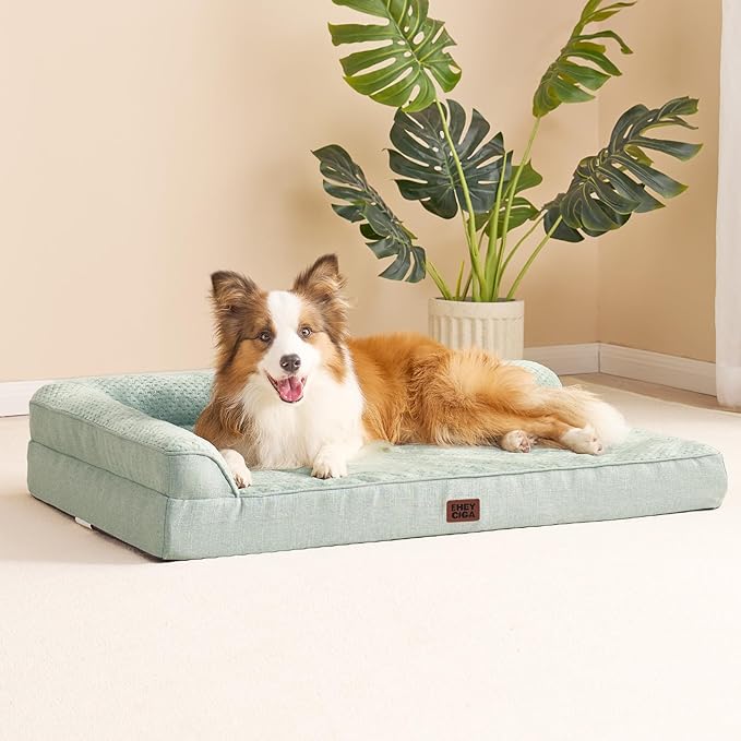 EHEYCIGA Memory Foam Dog Bed Large Sized Dogs, Waterproof Dog Bed Orthopedic with Washable Removable Cover, Non-Slip Pet Bed Couch, 36x27x6 Inches, Greyish Green