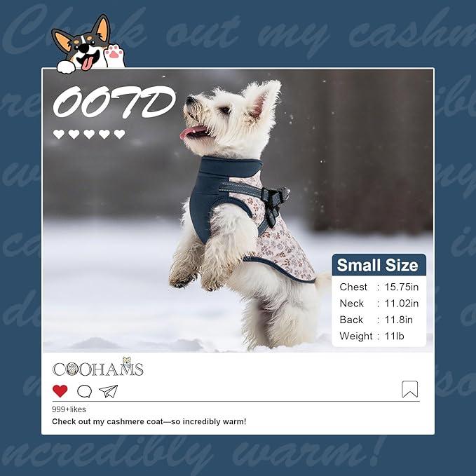 Dog Winter Coat for Small & Medium Dogs (Up to 31lb), Waterproof Dog Coat with Harness, Puppies Windproof Puppy Puffer Jacket, Snowsuit for Dachshund,Frenchie, Corgi (Paw Blue, Large)