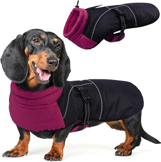 DORA BRIDAL Dachshund Coat, Fleece Lined Dog Winter Coat, Warm Dog Coats with Reflective Strips, Adjustable Waterproof Pet Jacket Clothes, M