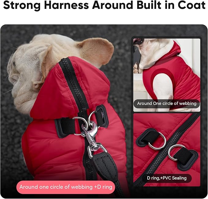 Fleece Lining Dog Hoodie with Harness Built in,Extra Warm Small Dog Jacket in Winter Puppy Coats with Hooded,Red M