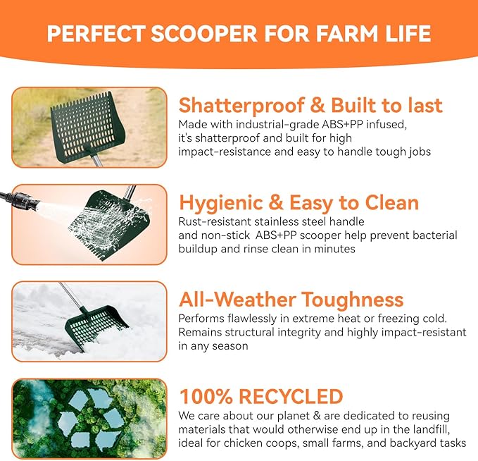 Chicken Poop Scooper & Rake 2-in-1, Pooper Scooper with 13in Wider PP Head & Adjustable Stainless Steel Handle, 33''-69'' Sand Sifting Shovel Litter Scooper for Chicken Coop/Small Farm Animals