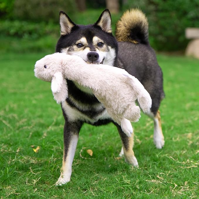 Best Pet Supplies Squeaky Dog Toys with Soft Durable Fabric for Small, Medium and Large Pets Interactive Toy for Indoor Play, Supports Active Biting and Play - 4 Figures, Small