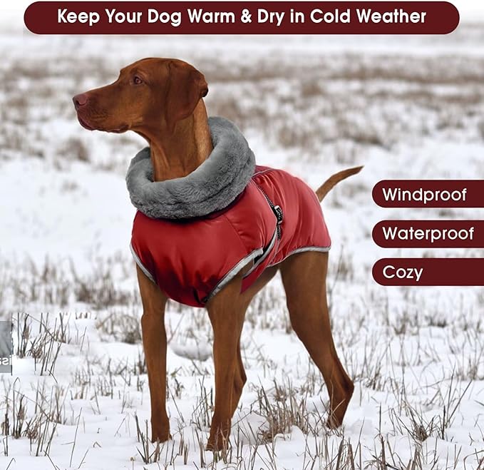 Warm Waterproof Dog Coat,Size M Dogs Jacket Pet Winter Coat for Cold Weather with Thicken Furry Collar,Reflective Puppy Winter Jacket Warm Fleece Lining for Medium Dogs,Red,M