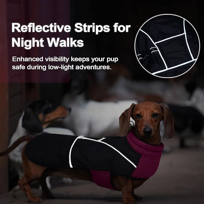 Lelepet Dachshund Coat Warm Dog Winter Coat Waterproof Dog Jacket with Fleece Lining, Reflective Outdoor Dachshund Snowsuit with Leash Hole Adjustable Neckline,Coats for Small Medium Dogs,Purple, L
