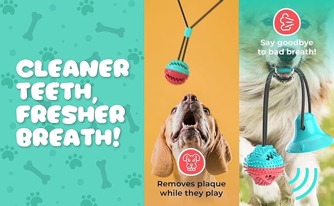 Just4Pups Dog Chew Toys – Durable, Long-Lasting Rubber Chew Toy with Treat Dispensing and Dental Benefits—Perfect for High-Energy Dogs and Puppies