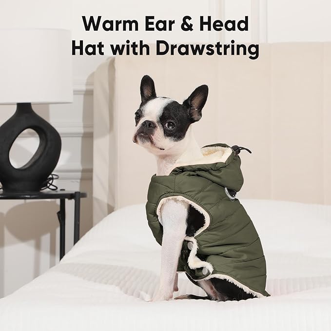 Fleece Lining Dog Hoodie with Harness Built in,Extra Warm Small Dog Jacket in Winter Puppy Coats with Drawstring Hooded,Green M