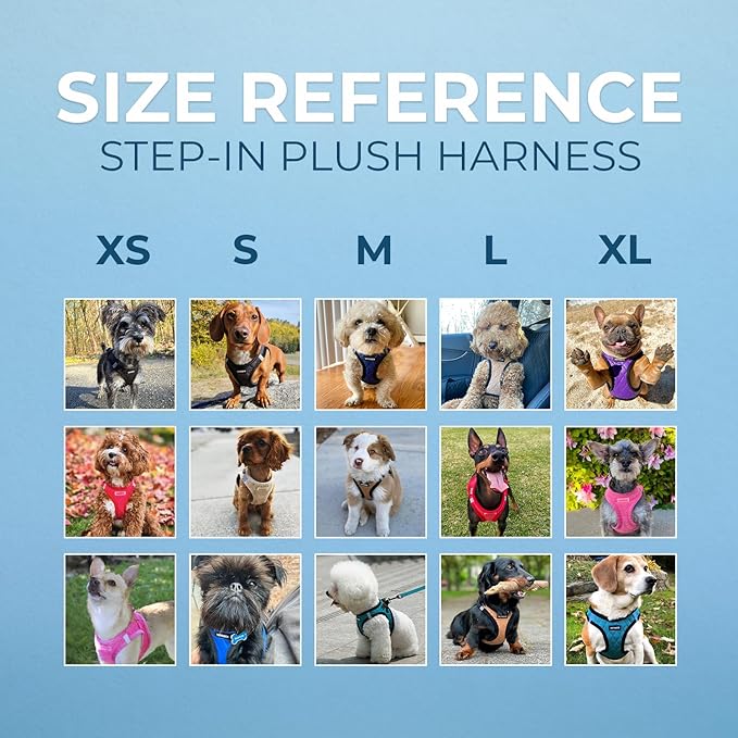 Best Pet Supplies - All Weather Mesh/Plush, Reflective, No Pull Harness for Small, Medium Dogs, Cats - Secure with Hook & Loop Fastener, Buckle, Double D-Rings - Latte Suede, XS