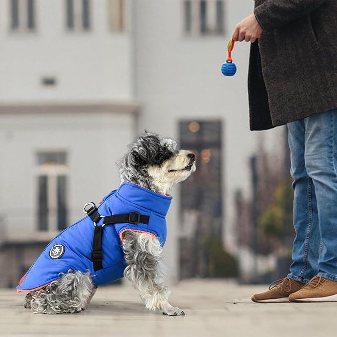 Norbi Dog Coat - Winter Jacket with Built-in Harness, Adjustable for Small to Large Dogs, Warm for Cold Weather