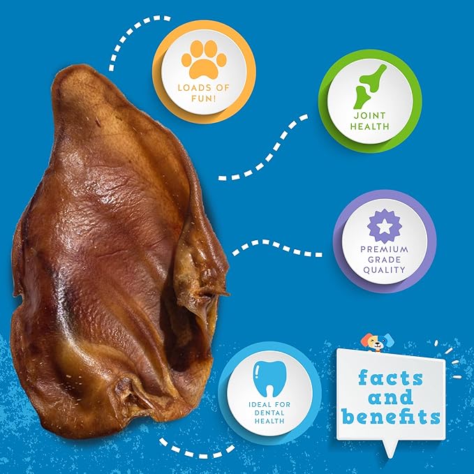 Jack&Pup Natural Whole Pig Ears for Dogs Large, Pigs Ears for Dogs - Premium Dog Ear Treat - Dog Chew Treats for Large and Small Breeds (10 Pack)