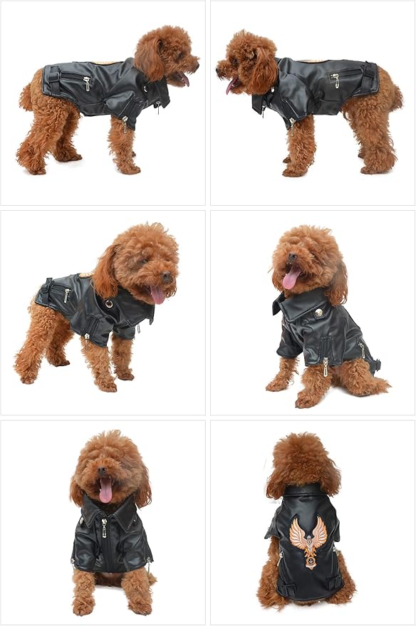 Lovelonglong Cool Dog Leather Jacket, Warm Coats Dogs Windproof Cold Weather Coats for Large Medium Small Dogs with Eagle Embroidery Black M