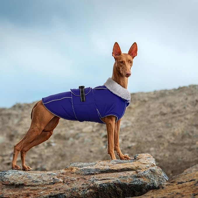 Lelepet Warm Dog Winter Coat Waterproof Dog Jacket with Adjustable Buckle & Leash Hole Reflective Pet Fleece Snowsuit Turtleneck Windproof Cold Weather Coats, Blue, XL