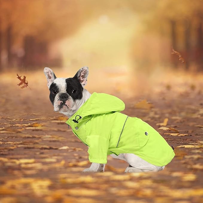 Morezi Dog Zip Up Raincoat with Reflective Buttons, Rain/Water Resistant, Adjustable Drawstring, Removable Hood, Raincoats with Legs 8lbs to 80lbs Available Light Green S
